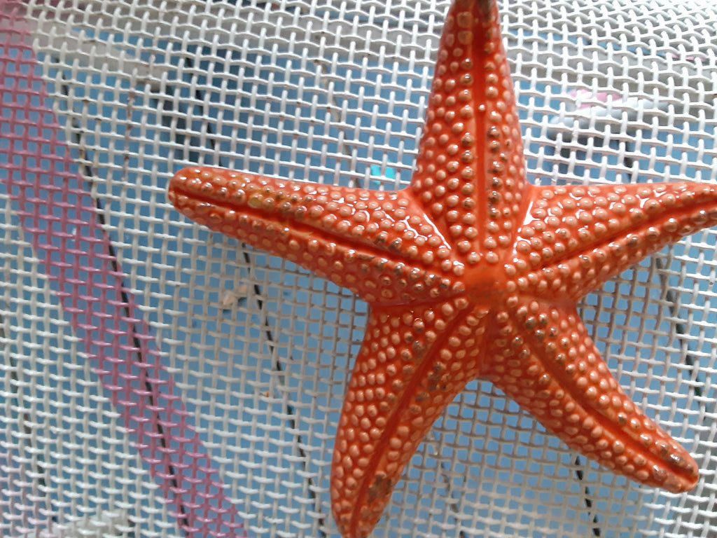 Hand Painted Coral Pink Starfish Ceramic