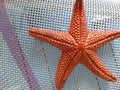 Hand Painted Coral Pink Starfish Ceramic