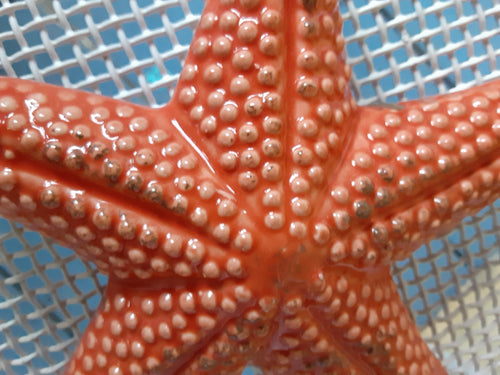 Hand Painted Coral Pink Starfish Ceramic