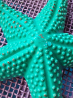 Hand Painted Aqua Starfish Ceramic