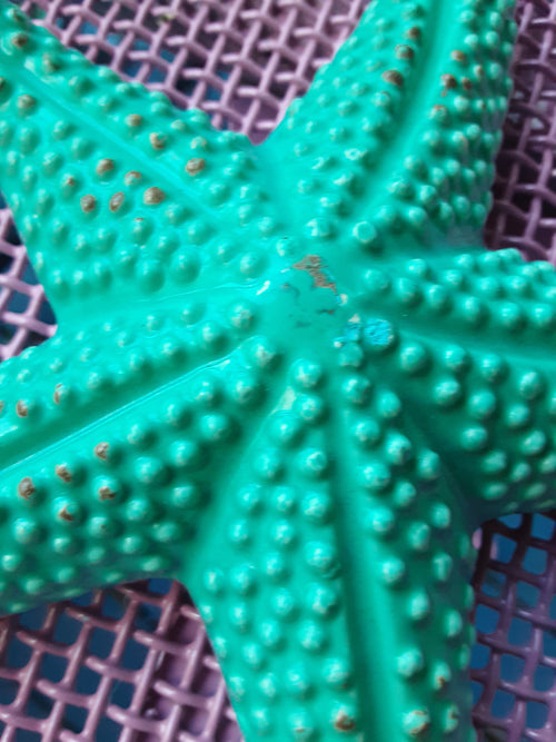 Hand Painted Aqua Starfish Ceramic